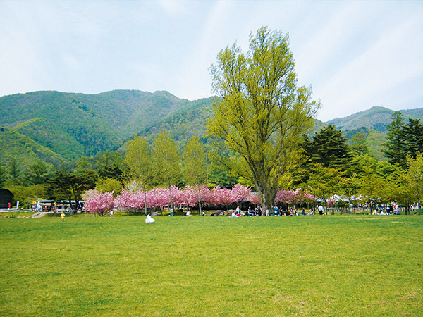 ふれあい広場（自由広場）